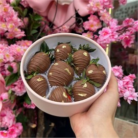 {{photo.Alt || photo.Description || 'Клубника в шоколаде 8 шт.'}}