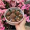 Клубника в шоколаде 8 шт. ручной работы ArtChoco